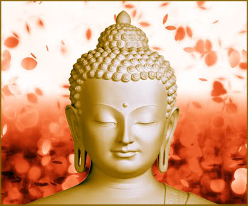 Cõi Phật A Di Đà: Hãy đến với cõi Phật A Di Đà và trải nghiệm một không gian trong lành, yên bình và tịnh tâm. Tại đó, bạn có thể thấy rõ hơn vẻ đẹp thiêng liêng của Đấng A Di Đà và suy ngẫm về cuộc đời và sự tồn tại của chúng ta.